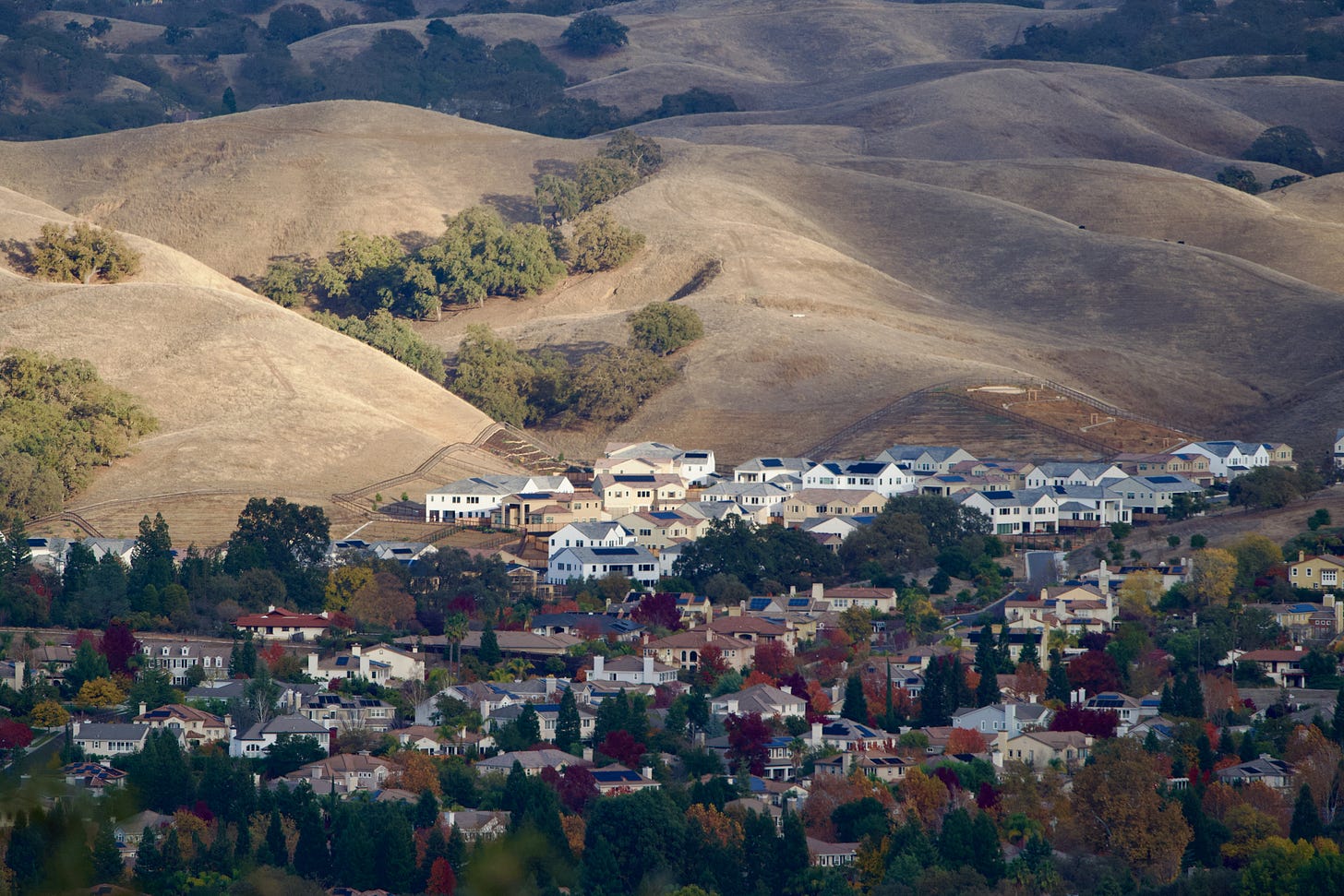 Cover image from A Quiet Pause in Pleasanton: Finding Balance Amid the Discord