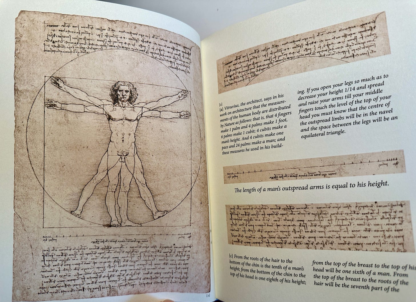 Cover image from Finding Balance Between Doing and Being: A Dialogue with Leonardo da Vinci in NYC
