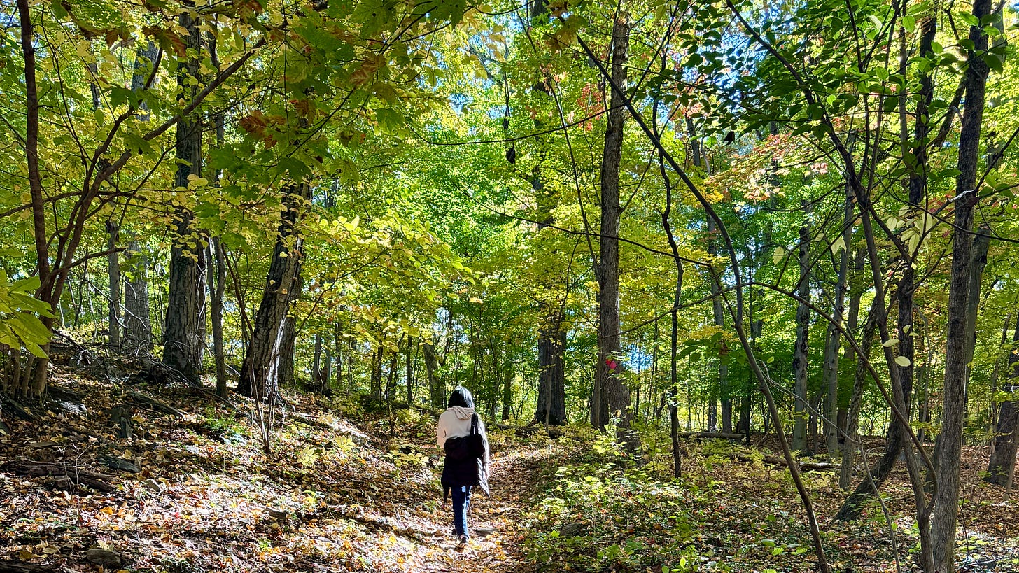 Cover image from The Steps We Leave Out